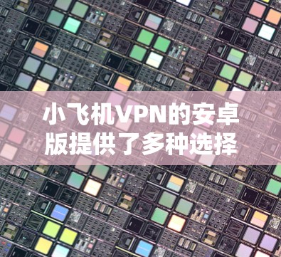 小飞机VPN的安卓版提供了多种选择和功能,适合不同需求的用户。以下是对小飞机VPN安卓版的详细分析和建议
