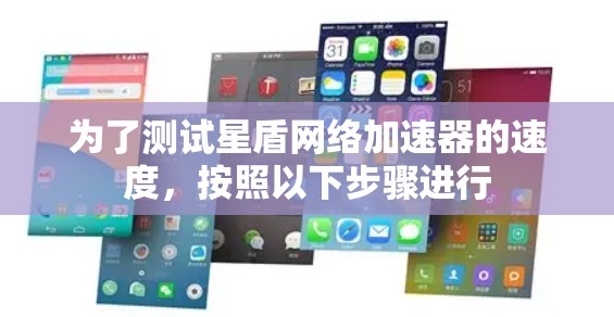 为了测试星盾网络加速器的速度，按照以下步骤进行