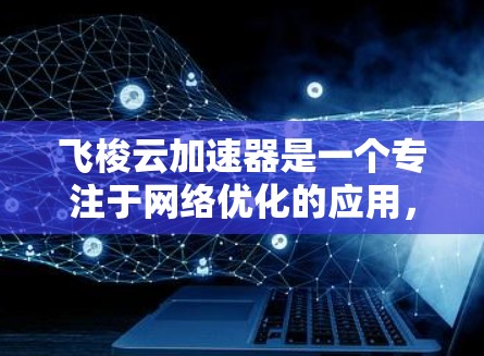 飞梭云加速器是一个专注于<strong>网络优化</strong>的应用，旨在帮助用户加速网络连接、降低延迟和提高数据传输速度。以下是获取和使用飞梭云加速器电脑版的步骤