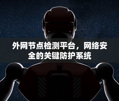 外网节点检测平台,网络安全的关键防护系统