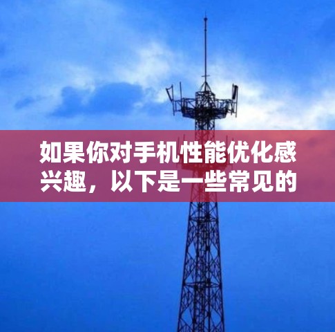 如果你对手机性能优化感兴趣，以下是一些常见的方法和工具
