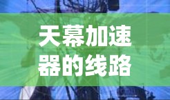 天幕加速器的线路检测对于确保实验的成功和安全至关重要。作为新手，以下步骤可以帮助您系统地进行线路检测
