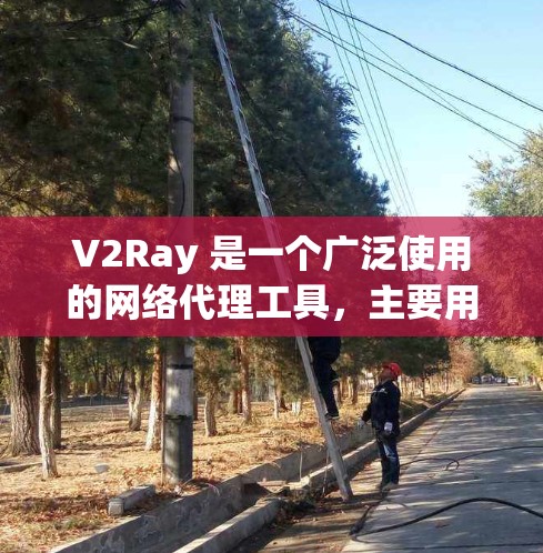 V2Ray 是一个广泛使用的网络代理工具，主要用于科学上网、防止网络监控和限制。它通过订阅地址获取代理服务器配置，用户可以根据需求选择不同的节点。以下是关于 V2Ray 订阅管理的详细说明