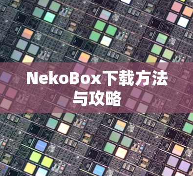 NekoBox下载方法与攻略
