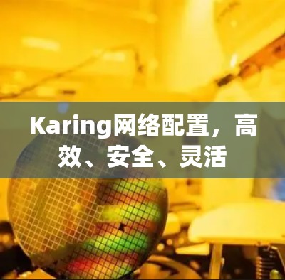 Karing网络配置，高效、安全、灵活