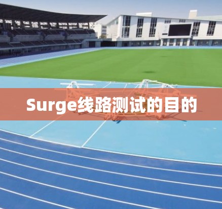 Surge线路测试的目的 Surge线路测试的目的