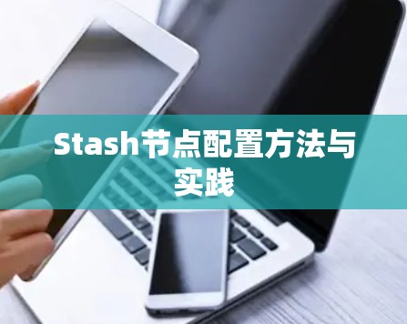 Stash节点配置方法与实践
