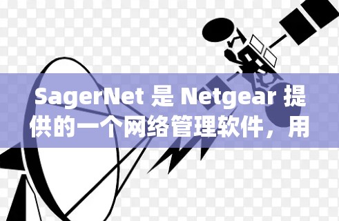 SagerNet 是 Netgear 提供的一个网络管理软件,用于简化网络设备的配置和管理。以下是使用 SagerNet 的基本教程,假设你已经下载并安装了相关软件