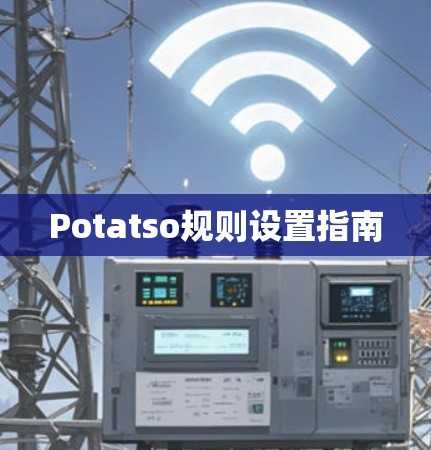 Potatso规则设置指南