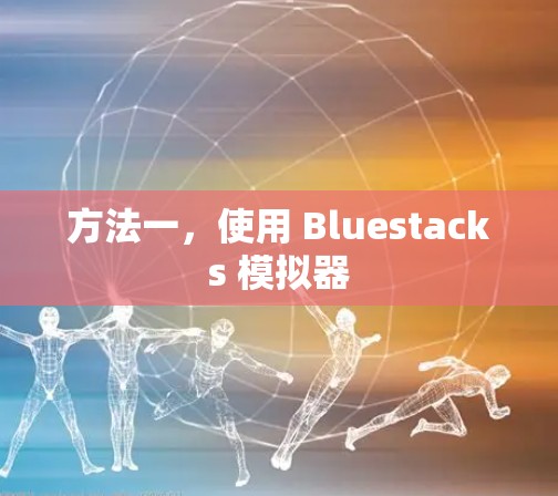 方法一，使用 Bluestacks 模拟器