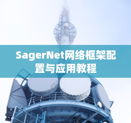 SagerNet网络框架配置与应用教程