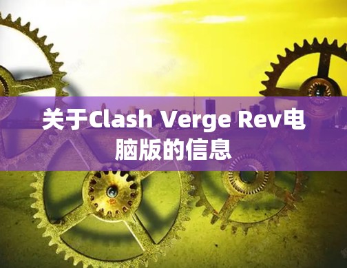 关于Clash Verge Rev电脑版的信息 关于Clash Verge Rev电脑版的信息