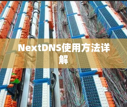 NextDNS使用方法详解 NextDNS使用方法详解
