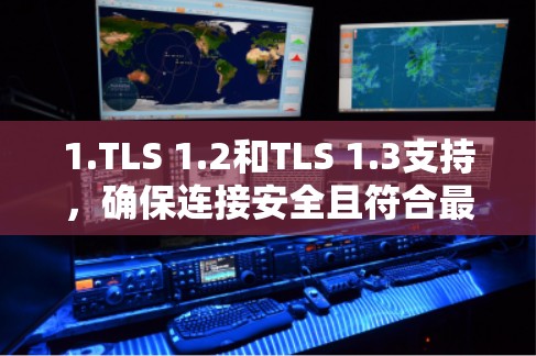 1.TLS 1.2和TLS 1.3支持,确保连接安全且符合最新的安全标准 1.TLS 1.2和TLS 1.3支持,确保连接安全且符合最新的安全标准
