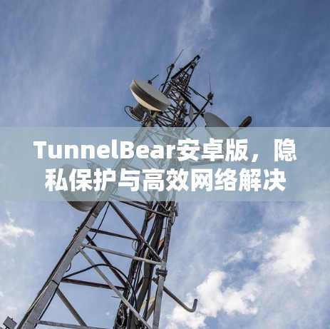TunnelBear安卓版,隐私保护与高效网络解决方案