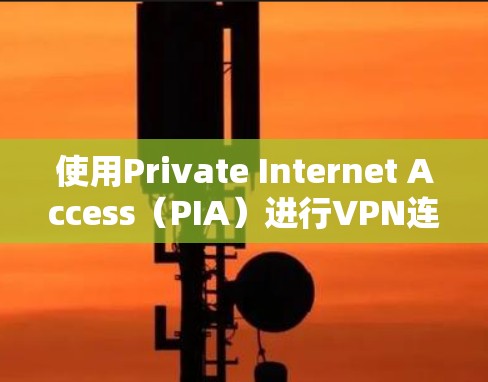 使用Private Internet Access(PIA)进行VPN连接的步骤如下