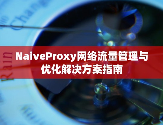 NaiveProxy网络流量管理与优化解决方案指南 NaiveProxy网络流量管理与优化解决方案指南
