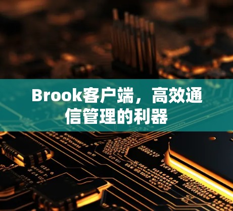 Brook客户端,高效通信管理的利器 Brook客户端,高效通信管理的利器