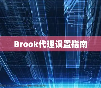 Brook代理设置指南 Brook代理设置指南