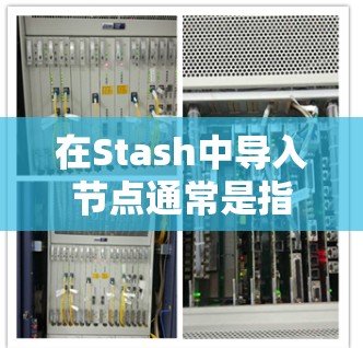 在Stash中导入节点通常是指将外部数据或内容导入到Stash的知识库中，以便管理和检索。以下是常见的导入节点的步骤和方法