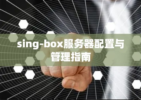 sing-box服务器配置与管理指南 sing-box服务器配置与管理指南