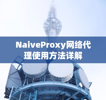 NaiveProxy网络代理使用方法详解 NaiveProxy网络代理使用方法详解