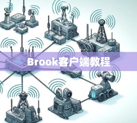 Brook客户端教程