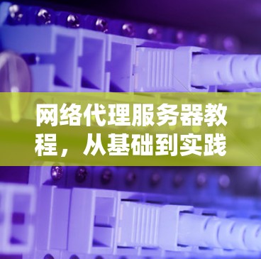 网络代理服务器教程,从基础到实践 网络代理服务器教程,从基础到实践