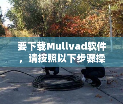要下载Mullvad软件,请按照以下步骤操作