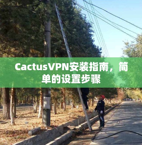 CactusVPN安装指南,简单的设置步骤 CactusVPN安装指南,简单的设置步骤