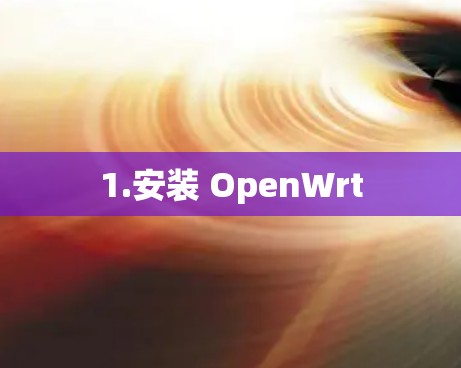 1.安装 OpenWrt 1.安装 OpenWrt