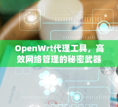 OpenWrt代理工具,高效网络管理的秘密武器 OpenWrt代理工具,高效网络管理的秘密武器