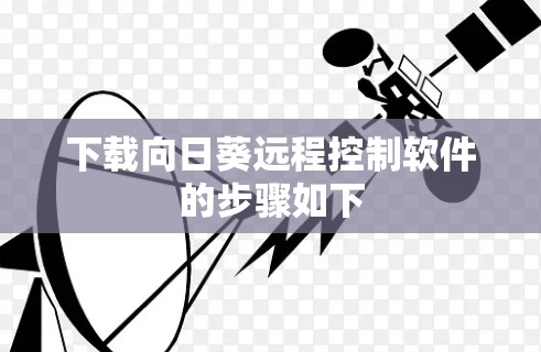 下载向日葵远程控制软件的步骤如下 下载向日葵远程控制软件的步骤如下