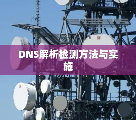 DNS解析检测方法与实施