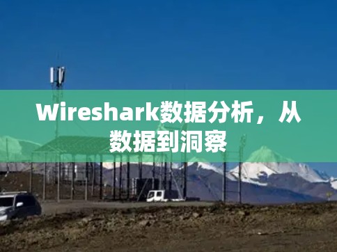 Wireshark数据分析,从数据到洞察 Wireshark数据分析,从数据到洞察