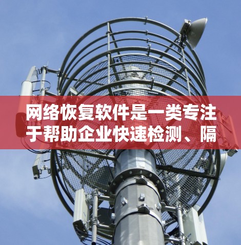 网络恢复软件是一类专注于帮助企业快速检测、隔离和恢复网络中断或安全事件的解决方案。它通过实时监控网络状态、自动化故障排除和智能恢复功能，确保网络服务的持续可用性，减少停机时间和潜在损失