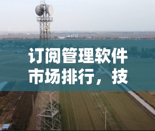 订阅管理软件市场排行，技术创新推动行业升级