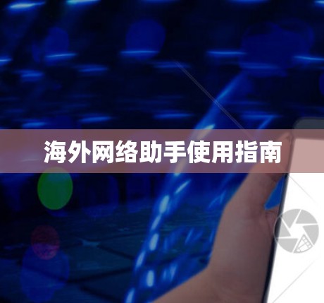 海外网络助手使用指南