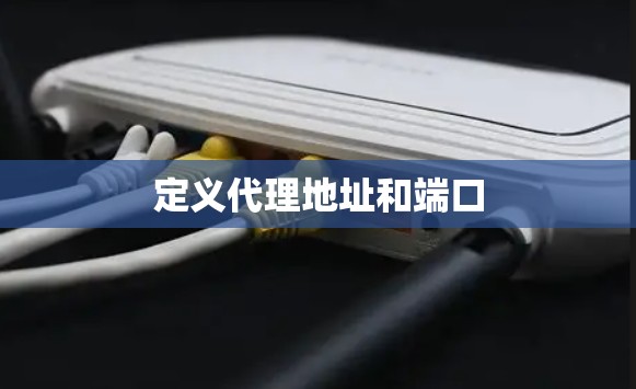 定义代理地址和端口 定义代理地址和端口