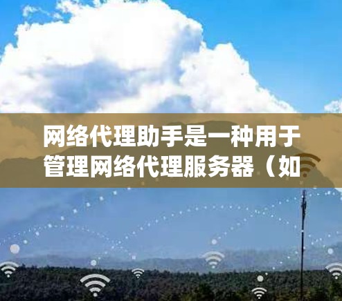 网络代理助手是一种用于管理网络代理服务器(如SOA、API Gateway等)的工具,它可以帮助用户更高效地配置和管理网络流量。以下是使用网络代理助手的分步指南 网络代理助手是一种用于管理网络代理服务器(如SOA、API Gateway等)的工具,它可以帮助用户更高效地配置和管理网络流量。以下是使用网络代理助手的分步指南