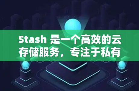 Stash 是一个高效的云存储服务，专注于私有云存储和协作。以下是关于 Stash 客户端的详细介绍