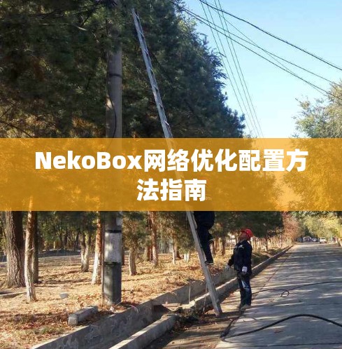 NekoBox<strong>网络优化</strong>配置方法指南