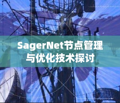 SagerNet节点管理与优化技术探讨