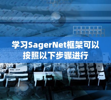 学习SagerNet框架可以按照以下步骤进行