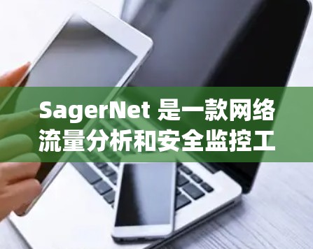 SagerNet 是一款网络流量分析和安全监控工具，专注于实时监控和分析网络流量，识别异常流量并防止网络攻击。它能够帮助用户全面了解网络流量，定位安全威胁，优化网络性能