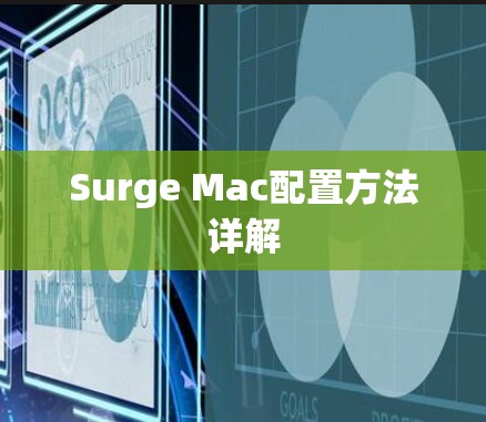 Surge Mac配置方法详解