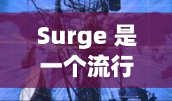 Surge 是一个流行的静态网站生成工具，可以帮助开发者快速构建和部署静态网站或前端项目。以下是使用 Surge Mac 的指南