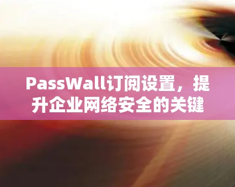 PassWall订阅设置，提升企业网络安全的关键配置