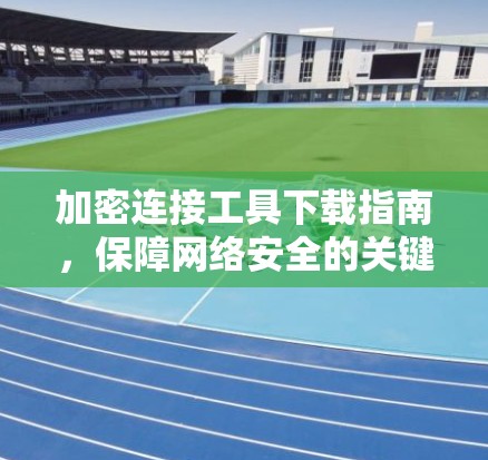 加密连接工具下载指南，保障网络安全的关键