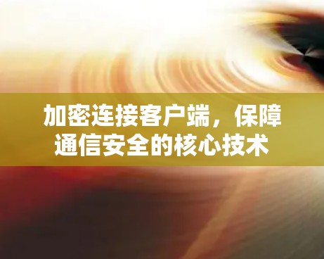 加密连接客户端，保障通信安全的核心技术